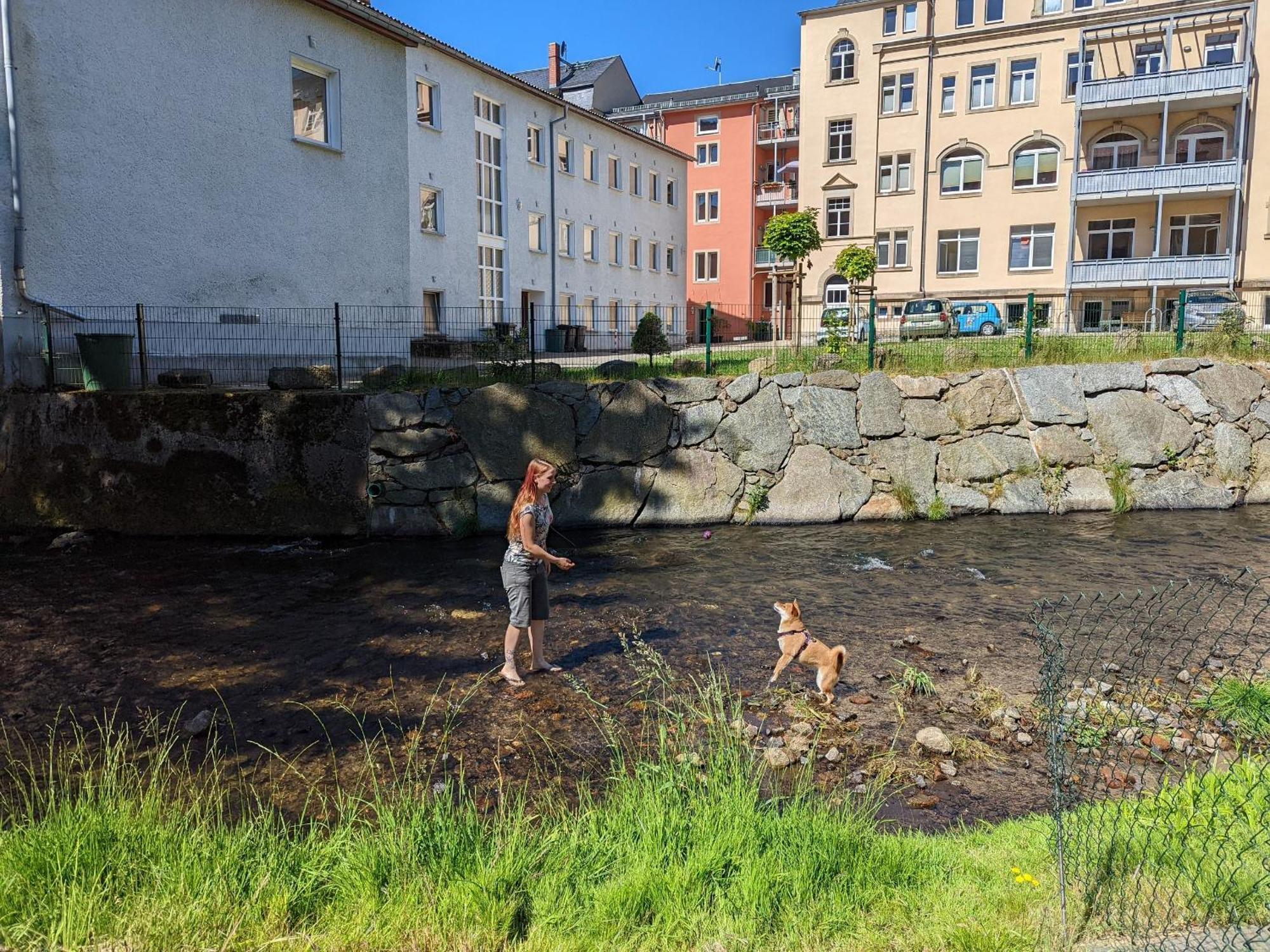Ut - Urlaubsmagie - Urlaubstraum Mit Whirlpool, Pool & Sauna Sebnitz Extérieur photo
