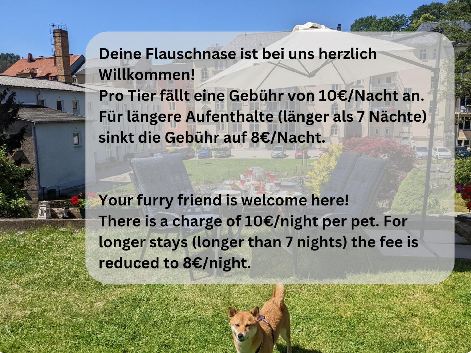 Ut - Urlaubsmagie - Urlaubstraum Mit Whirlpool, Pool & Sauna Sebnitz Extérieur photo